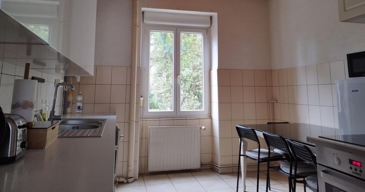 Le Thannois - Appartement 2 Chambres, Salon, Cuisine Equipee, Parking Et Wifi Gratuit Mulhouse Exteriör bild