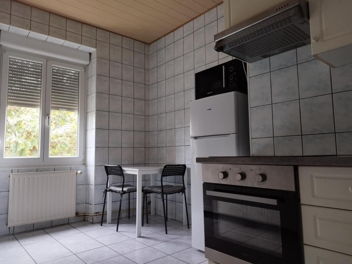 Le Thannois - Appartement 2 Chambres, Salon, Cuisine Equipee, Parking Et Wifi Gratuit Mulhouse Exteriör bild