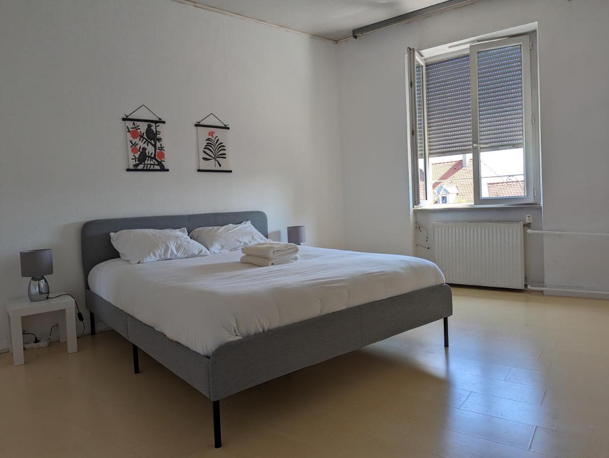 Le Thannois - Appartement 2 Chambres, Salon, Cuisine Equipee, Parking Et Wifi Gratuit Mulhouse Exteriör bild